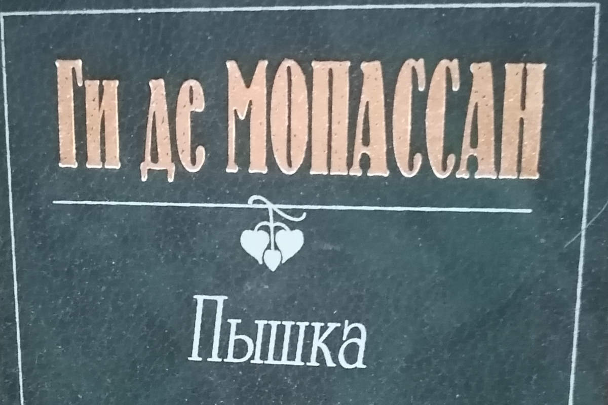 В Сундучок пожертвовали “Пышку” Мопассана и другие книги